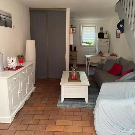 Charmante Maison Au Coeur De La Pinede Classee 3 Etoiles Feriehus Lacanau